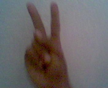 mazmour